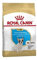 Royal Canin French Bulldog Puppy | 3 kg | Trockenfutter für Französische Bulldoggen Welpen | Kann die Verdauung unterstützen | Kann zur normalen Funktion des Immunsystems beitragen