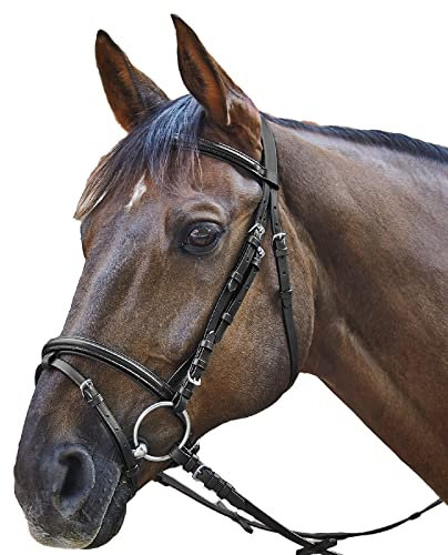 WALDHAUSEN STAR Trensenzaum Basic Warmblut, schwarz