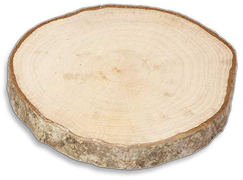 2X HOFMEISTER® Holzscheiben mit Rinde, Untersetzer, rund, unlackiert aus Holz 10 cm