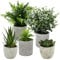 ZHYLUO 5 Pieces Plantes Artificielle, Mini Plantes artificielles Interieur Serpentine, Agave succulentes, Griffe d'aigle Aloe Vera, pour Chambre Bureau Decoration