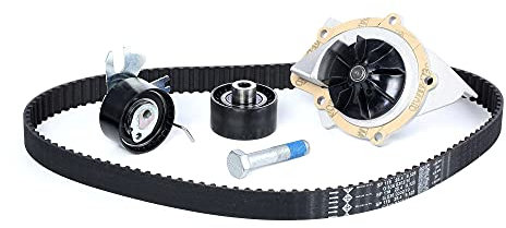 INA 530 0449 30 Kit cinghia distribuzione pompa acqua N° denti: 19 29 mm