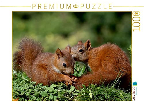 CALVENDO Puzzle Jacky und Jack | 1000 Teile Lege-Größe 64 x 48 cm Foto-Puzzle für glückliche Stunden