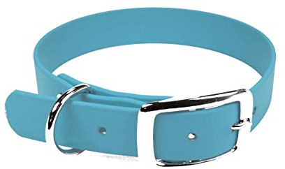 LENNIE BioThane Halsband, Dornschnalle, 19 mm breit, Größe 34-40 cm, Cyan/Türkis, Aufdruck möglich