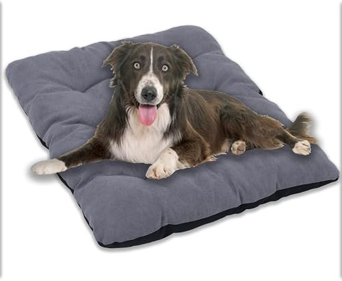 MyBestBuddy Hundekissen grau 80x60 cm L, 40°C waschbar mit weichem Stoffbezug - allergikerfreundlich (100% Polyester) - Hundematte BZW. Hundebett für mittelgroße Hunde, 80 x 60 cm
