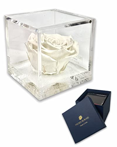 S1018 Luxury Rose Stabilizzate Vere in Cubo più spesso Luxury 8 e Scatola Regalo Lusso, Cubo rosa stabilizzata Rossa, rosa eterna, Idea Regalo per lei, Natale, Regalo donna, Rosa eterna