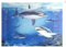 Novelty - 3D Poster Sharks