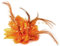 Blumen-Feder-Perlen Corsage-Haarclips Fascinator Haarband und Haarnadel
