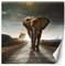 Feeby Vlies Fototapete Uv Gel Druck Elefant Sonnenuntergang 250x250 cm Braun Schlafzimmer Wohnzimmer Büro Hotel Flur Abstrakt Straße Afrika