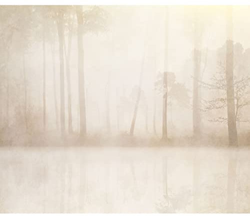 decomonkey Fototapete Wald 400x280 cm Tapete Fototapeten Vlies Tapeten Vliestapete Wandtapete moderne Wand Wandbild Schlafzimmer Wohnzimmer Deko Natur Landschaft Baum Beige