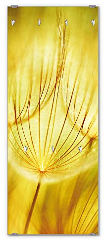 banjado® Wandgarderobe aus Echtglas/Design Garderobe 50 x 125 cm groß/Flurgarderobe mit 7 Haken/Beschreibbares Garderobenpaneel Motiv Pusteblumen Gold