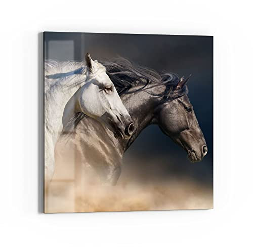 DEQORI Glasbild Echtglas | Motiv Pferde-Trio im Galopp | quadratisch einteilig 30x30 cm | schöne Dekoration | Wandbild für Wohnzimmer, Schlafzimmer, Flur & Küche | moderne Wanddeko