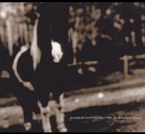 Jagjaguwar 52011