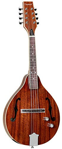 Tanglewood TWM T MH STE Electro Mandolin