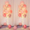 Pink Balloon Stands for Floor - With String Light Balloon Column Stand Kit Perfect for Wedding,Anniversaries,Birthday Party Supplies