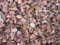 Orchideensubstrat aus 100% Kokos, grob, 25l (0,70€ / L) Kokosmulch, Spezialsubstrat, Orchideenerde, Kokoschips, Hydrokultursubstrat, Orchideen, Blumenerde, Bonsaisubstrat, torffrei