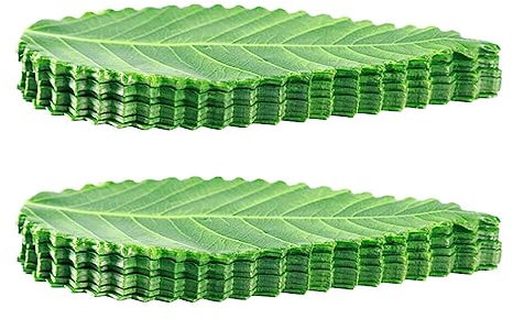 Ciieeo Decorative Sushi Leaf Sushi Grass Divider Green Leaves Sushi Plate Decorations Japanese Food Mat Banana Leaves Placemat Sushi Making Supplies 200pcs