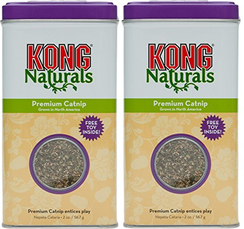 Kong Naturals Premium Katzenminze, 57 ml