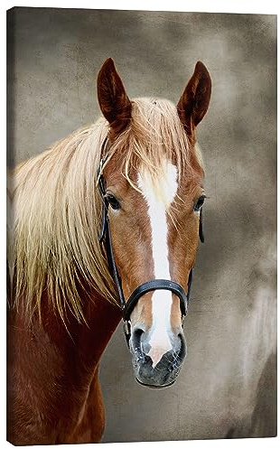 Posterlounge Pferde Leinwandbild | 20 x 30 cm von WildlifePhotography Braun Wandbilder Wanddeko