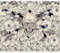 Fototapete murando 350x256 cm Vlies Tapeten Wandtapete XXL Moderne Wanddeko Design Wand Dekoration Wohnzimmer Schlafzimmer Büro Flur Blumen Vogel Totenkopf b-A-0169-a-c