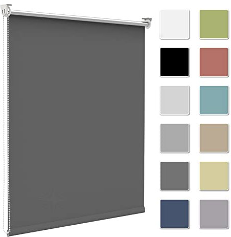 Zarnan Store Enrouleur Occultant sans Perçage, Isolant Thermique pour Fenêtre ou Porte, Facile à Installer, Protéger Votre Vie Privée, pour Chambre,Salon, Salle de Bain,Gris Foncé,60l x 130L cm