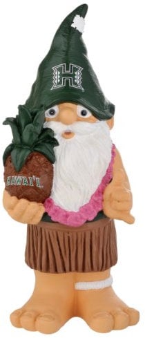 FOCO Hawaii Football Team Thematischer Zwerg