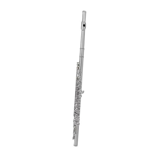 Professionelle Querflöte 16-Loch-Flöte Mit Geschlossener Klappe Kupfernickel Versilbert Und Vernickelt Für Anfänger Für Ablegen Von Prüfungen(Nickel)