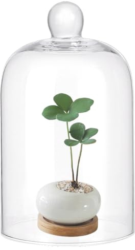 PH PandaHall 15x8.8cm Glasglocke Glasglocke Mini Kristallglocke Displayglocke Taschenuhr Displayglocke Glasglocke Für Dessert Anzeige Lagerung Home Decor Bühnenaufnahme Uhr Antiquitäten Schutz