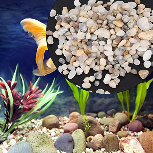 Aquariumsubstrat für Lebende Pflanzen, Dekorative Polierte Stones River Fels Aquarium Kies Dekorative Gesteine für Topfpflanzen für Vasen, Aquarien, Terrarium und Gartenarbeit Im Freien