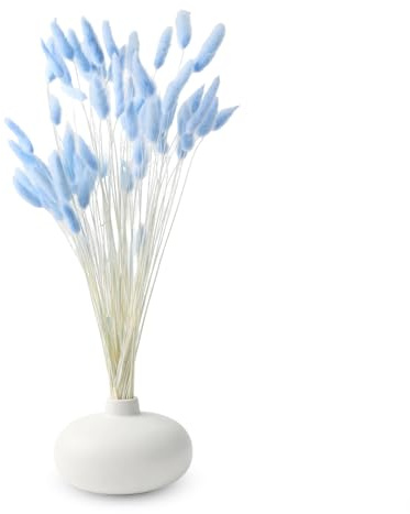 UCFBWO Hellblaue Trockenblumen & Pampasgras Deko, 120 Stück, 40cm