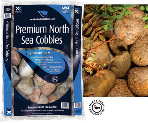 Premium North Sea Cobbles