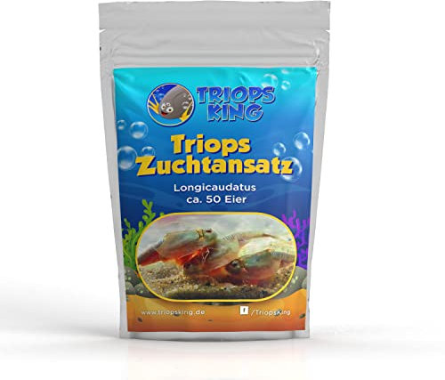 Longicaudatus Zuchtansatz mit ca. 50 Urzeitkrebs-Eiern/Zysten von Triops King aus Deutschland - Züchte deine eigenen Urzeitkrebse bei dir zu Hause im Aquarium