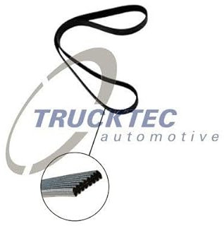 Trucktec Automotive 07.19.135 Keilrippenriemen