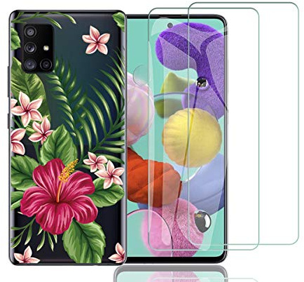 NOVAGO Compatible avec Samsung Galaxy A71 -Pack Complet- Coque Résistante Anti Choc + 2 Films de Protection écran en Verre trempé Transparent (Exotique)