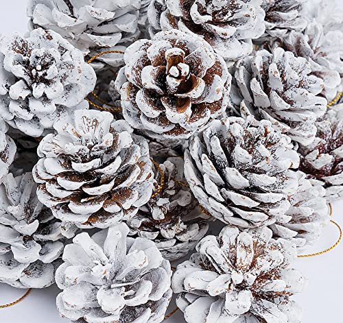 Anstore 42 Tannenzapfen KIeferzapfen in Weiß, 4-6 cm Weihnachten Kiefernzapfen Zapfen DekoTanne Naturzapfen mit Schnur Weihnachtsdeko Adventsdeko Pine Cones Hängende Dekoration (Weiße)