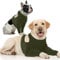 IECOii Dog Surgery Recovery Suit,Dog Recovery Sleeve Front Leg,Dogs Leg Surgical Recovery Suits,Dogs Legs Wound Joint Protector to Prevent Bite Licking,DogElbow Protector,Soft DogMedical Suit,Green,S