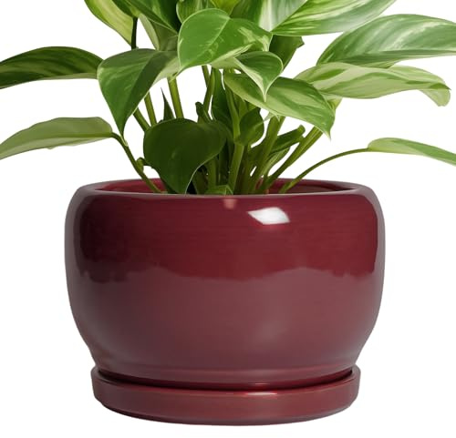 SQOWL Ceramic Planter - 8 Inch Plant Pot with Drainage Hole and Saucer, Round Planter for Indoor Outdoor Plants, Modern Decorative Flower Pots, Home Decor, Plant Lover Gifts, Red