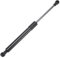 Motoforti 300mm/11.81 Gasdruckfedern 45lb/200N/20kg Gasfedern Schwarz Kohlenstoffstahl 1 Stücke Wohnmobil Auto Werkzeugkasten Deckel Aufbewahrungsbox Abdeckung Schranktür Abdeckung