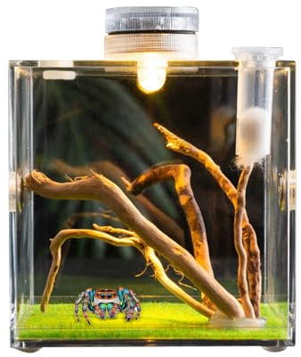 Springspinnengehege Springspinnenwohnraum Spinnen-Terrarium Vogelspinnen-Gehege Spinnenkäfig Acryl Käferterrarium Insektenterrarium