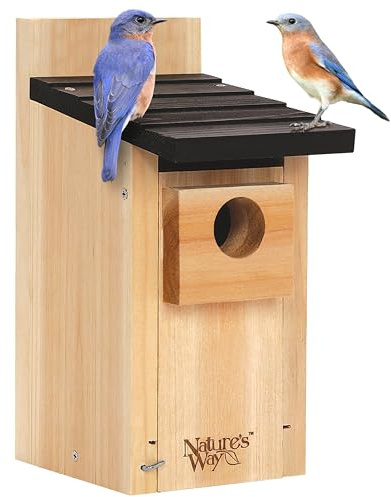 Nature's Way Bird Products CWH3 Cedar Bluebird Box House