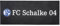 FC Schalke 04 Thekenauflage 50 x 20 cm