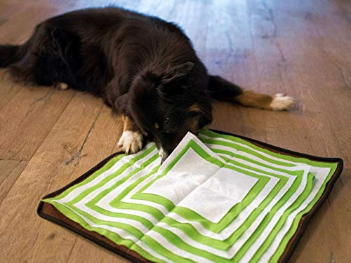 PROCYON Schnüffel-Pyramide Schnüffelwiese Matte Teppich Hunde Leckerli Suchspiel (50x50cm)