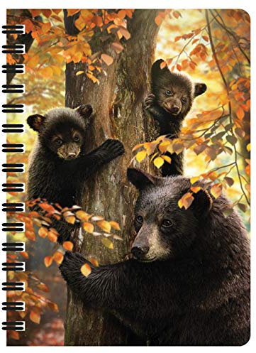 3D LiveLife Jotter - Eine Mutteruhr von Deluxebase. Linsenförmiges 3D Bär A6 Spiralblock. Ein liniertes Notizbuch mit Kunstwerken, die vom bekannten Künstler David Penfound lizenziert wurden