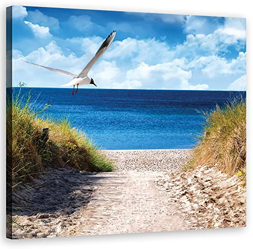 Feeby Wanddeko Ostsee Nordsee Strand 50x50 cm Leinwandbild Kunstdruck Möwe Pfad Gras Blau