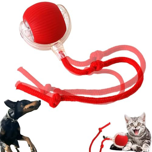 RARIHUOZY Interactive Cat & Dog Smart Ball Toy - 360° Automatic Rolling, Indoor/Outdoor