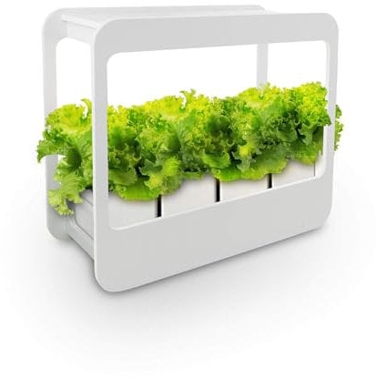 Nutriluce Mini Serra da Interno con Luci LED e Timer Automatico, Ideale Coltivazione Indoor di Piante Aromatiche e Piccoli Ortaggi, Serra Orto Intelligente, Idea Regalo Green (Miniserra)