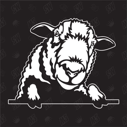 speedwerk-motorwear Schaf Version 2 - Aufkleber, Autoaufkleber, Sticker, Wolle, Lamm, Bauernhof, Widder, Hammel, Schafbock, Tiere, Farmanimals, Farmtiere (AUCH MIT Wunschname MÖGLICH)