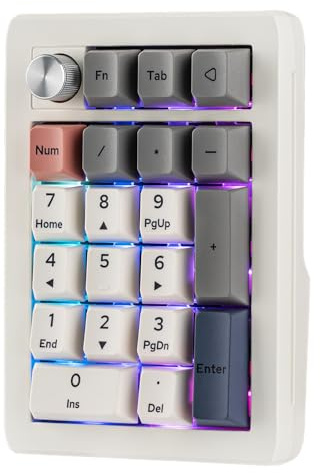 EPOMAKER EK21 VIA Gasket Numpad mit 1000mAh Batterie, BT 5.0/2.4ghz/Wired Hot-Swap Numpad mit Aluminium Legierung Knopf, Programmierbar für Win/Mac/Gaming (Weiß, Wisteria Linear Switch)