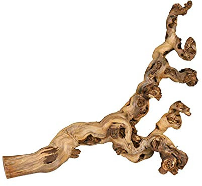 TRIXIE wassergestrahlte Weinrebe - ideal zum Klettern - Reptilien, Vögel, Kaninchen und Kleinnager - zwischen 55 und 75 cm - Naturprodukte können in Größe und Form variieren - 1 Stück - 76171