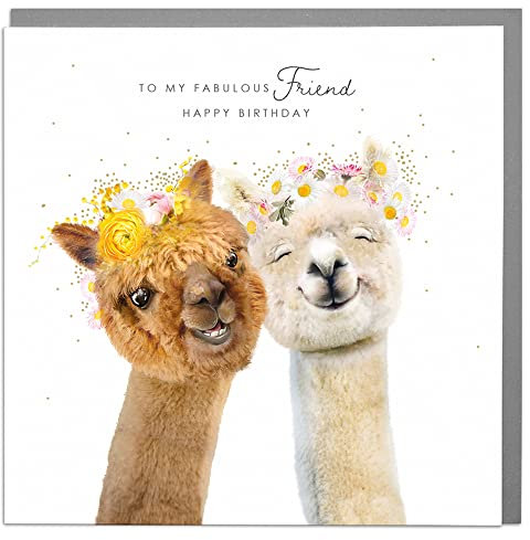 Lola Design – Geburtstagskarten für Frauen – Blanko-Karten und Umschläge – Fab Friend Karte – Happy Birthday Karte