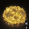 HoldOneLight 100/200/300/400er Led Lichterkette Strombetrieben mit Stecker Außen und Innen für Hochzeit Weihnachten Warmweiß (300LED 30m lang, Warmweiss)